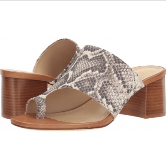 Johnston & Murphy Shoes - Johnston & Murphy ‘Kelsey’ Snake Toe Loop Sandals